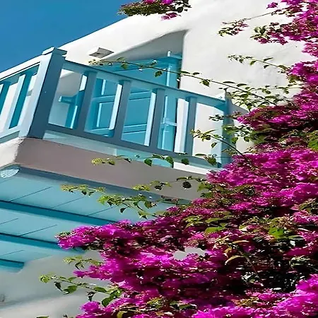 Cosy Flat On The Shore - 1bd2p - Mykonos ホテル